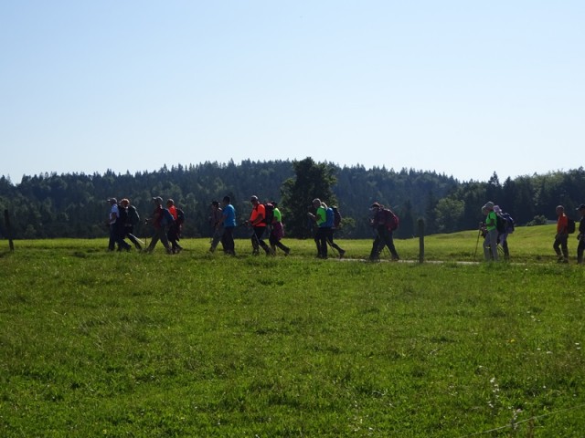 Bloška planota (17.6.2023) - foto