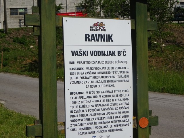 Bloška planota (17.6.2023) - foto
