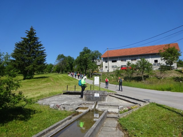 Bloška planota (17.6.2023) - foto