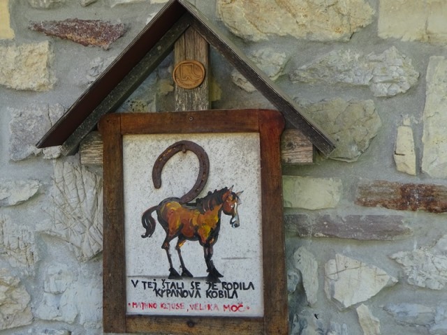 Bloška planota (17.6.2023) - foto