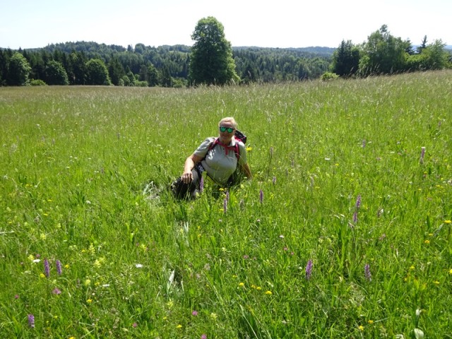 Bloška planota (17.6.2023) - foto