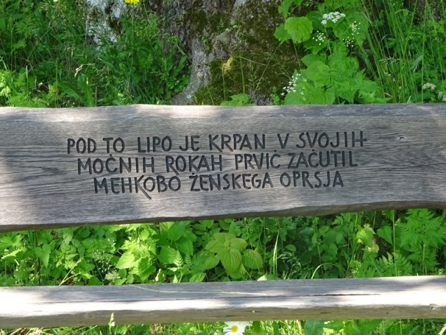 Bloška planota (17.6.2023) - foto