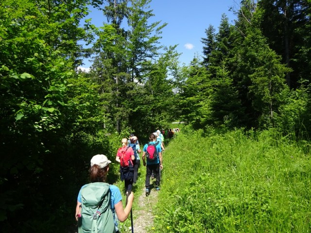Bloška planota (17.6.2023) - foto