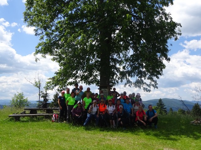 Bloška planota (17.6.2023) - foto
