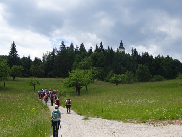 Bloška planota (17.6.2023) - foto