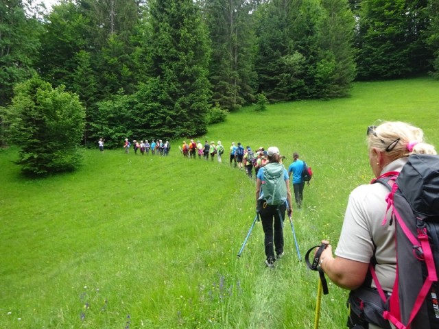 Bloška planota (17.6.2023) - foto