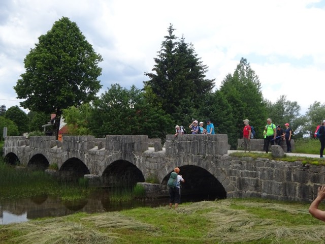 Bloška planota (17.6.2023) - foto