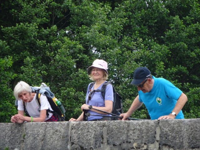 Bloška planota (17.6.2023) - foto