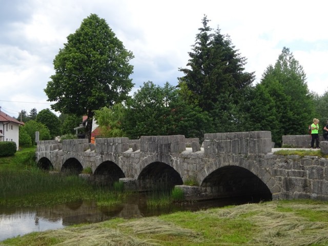 Bloška planota (17.6.2023) - foto