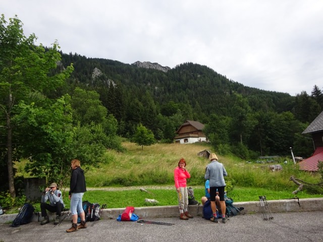 Pristovški storžič (29.7.2023 in ogl.t.) - foto