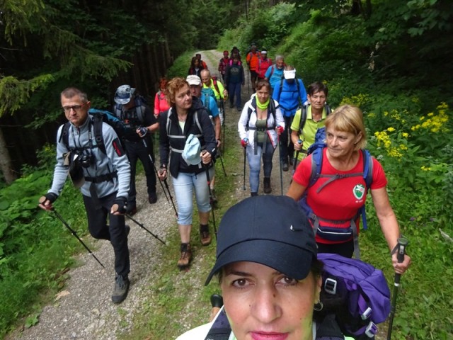 Pristovški storžič (29.7.2023 in ogl.t.) - foto