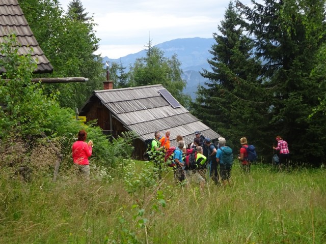 Pristovški storžič (29.7.2023 in ogl.t.) - foto