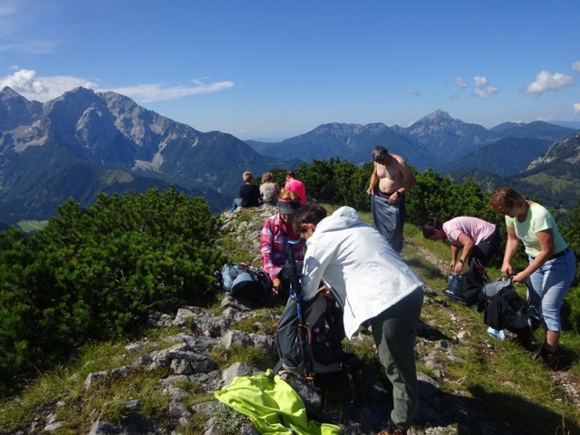 Pristovški storžič (29.7.2023 in ogl.t.) - foto