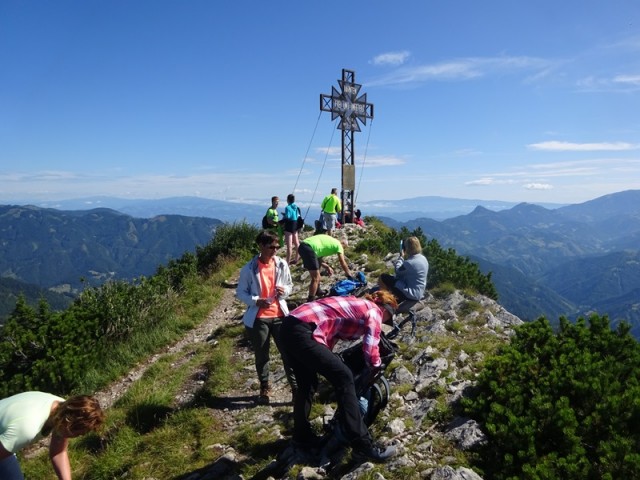 Pristovški storžič (29.7.2023 in ogl.t.) - foto