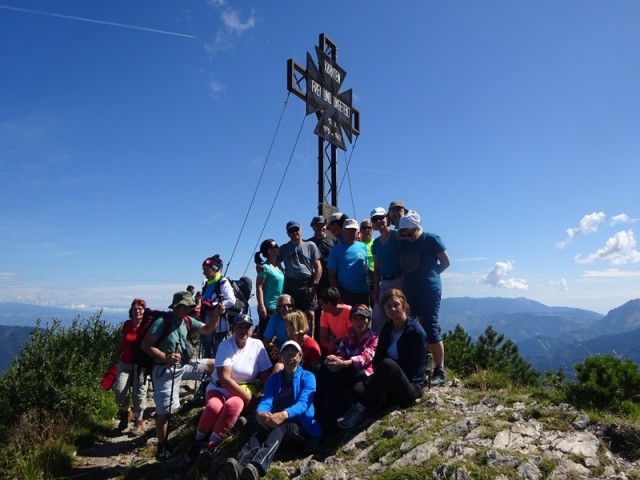 Pristovški storžič (29.7.2023 in ogl.t.) - foto