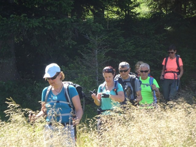 Pristovški storžič (29.7.2023 in ogl.t.) - foto