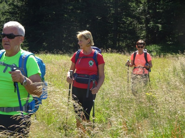 Pristovški storžič (29.7.2023 in ogl.t.) - foto