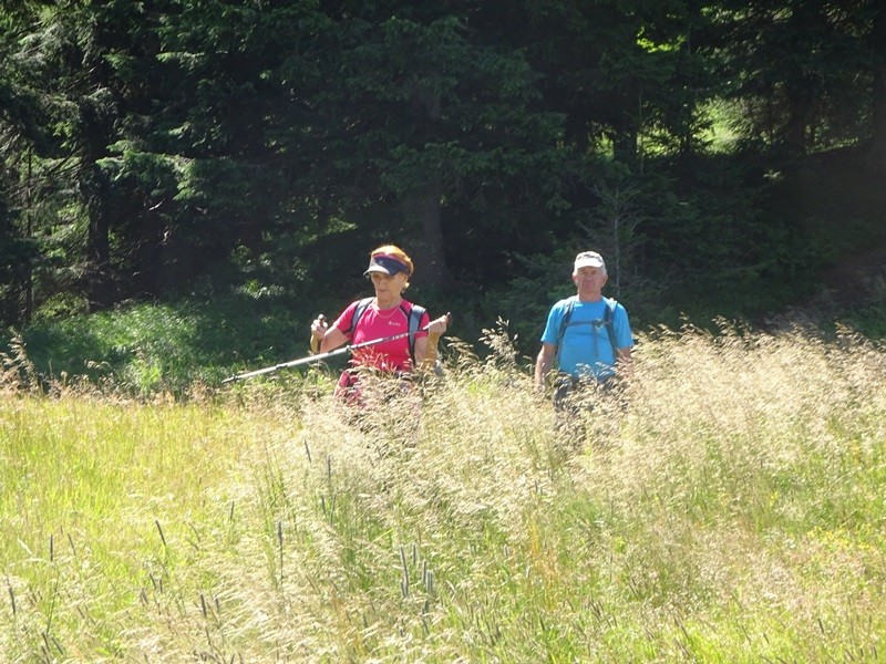 Pristovški storžič (29.7.2023 in ogl.t.) - foto povečava