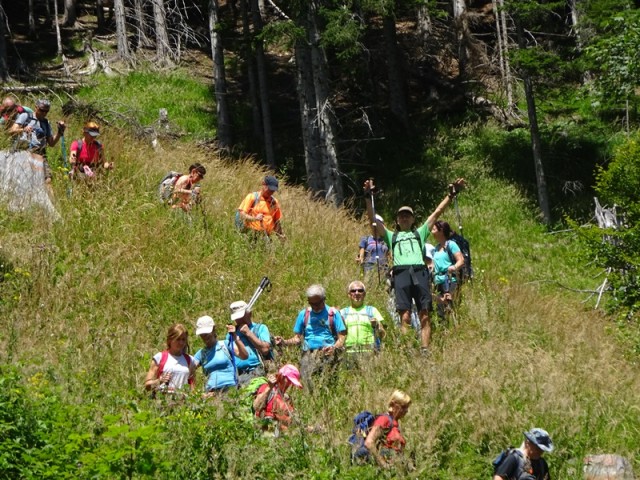 Pristovški storžič (29.7.2023 in ogl.t.) - foto