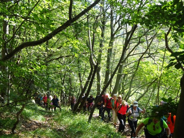 Nanoška planota (2.9.2023 in ogl.t.) - foto