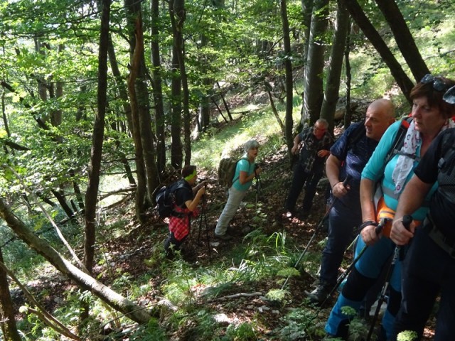 Nanoška planota (2.9.2023 in ogl.t.) - foto