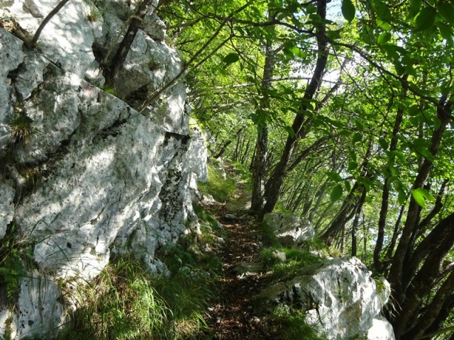 Nanoška planota (2.9.2023 in ogl.t.) - foto