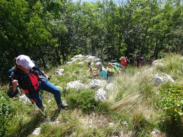 Nanoška planota (2.9.2023 in ogl.t.) - foto