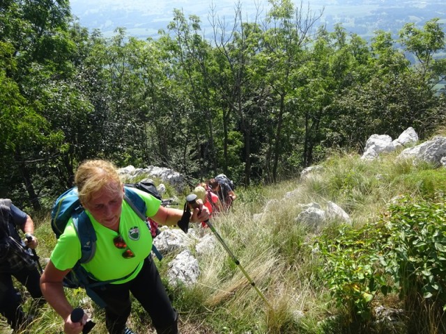 Nanoška planota (2.9.2023 in ogl.t.) - foto