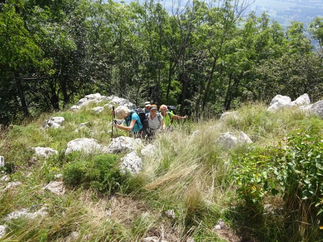 Nanoška planota (2.9.2023 in ogl.t.) - foto