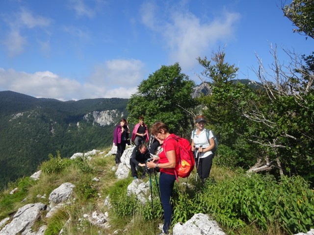 Nanoška planota (2.9.2023 in ogl.t.) - foto