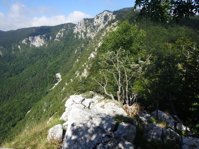 Nanoška planota (2.9.2023 in ogl.t.) - foto