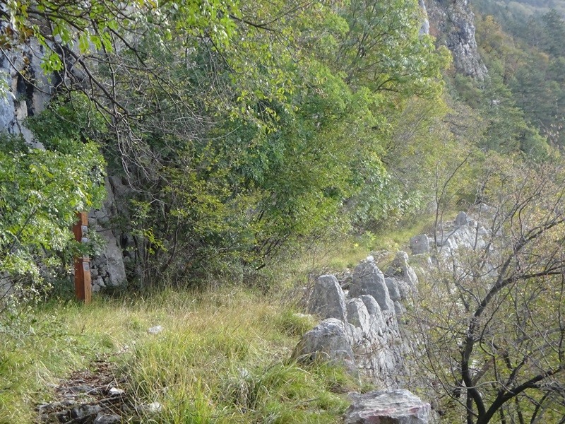 Veliki rob (25.11.2023 in ogl.t.) - foto povečava