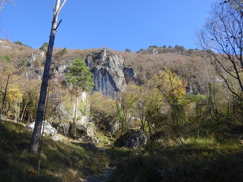 Veliki rob (25.11.2023 in ogl.t.) - foto povečava