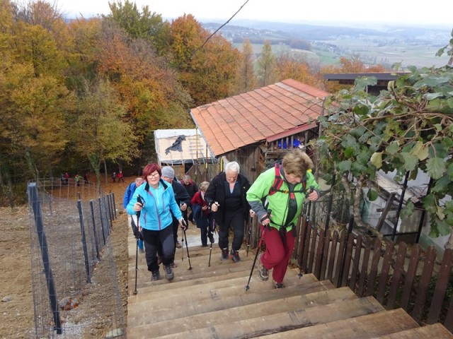 Pohod ob občinskem prazniku (19.11.2023) - foto