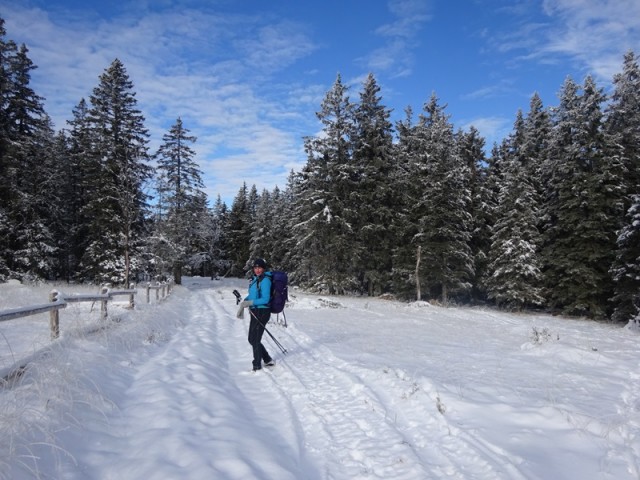 Rogla izvir pake (23.12.2023 in ogl.t.) - foto