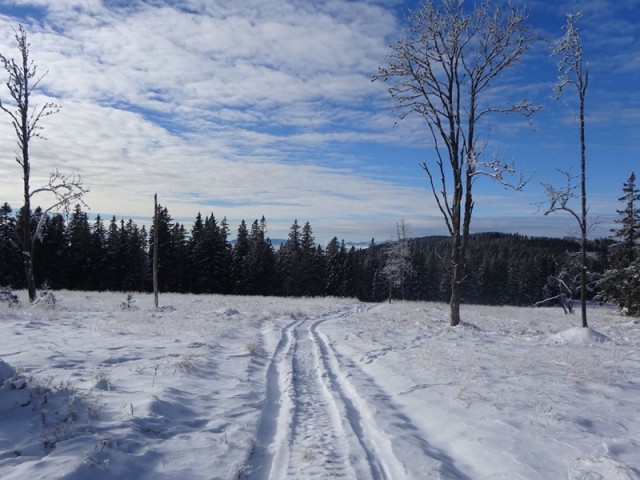 Rogla izvir pake (23.12.2023 in ogl.t.) - foto