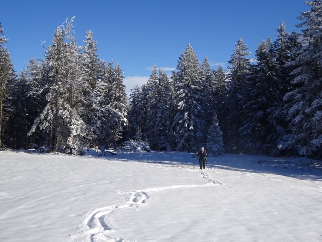 Rogla izvir pake (23.12.2023 in ogl.t.) - foto