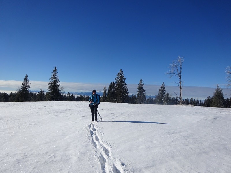 Rogla izvir pake (23.12.2023 in ogl.t.) - foto povečava