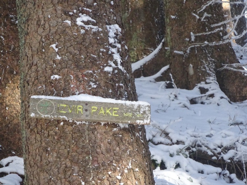 Rogla izvir pake (23.12.2023 in ogl.t.) - foto povečava