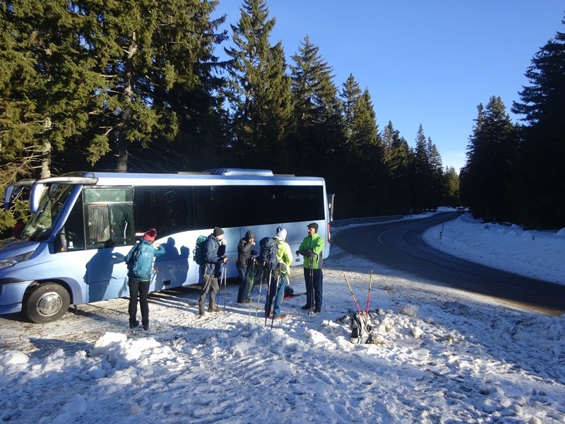 Rogla izvir pake (23.12.2023 in ogl.t.) - foto povečava