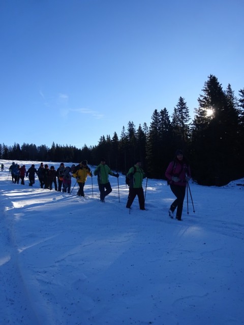 Rogla izvir pake (23.12.2023 in ogl.t.) - foto