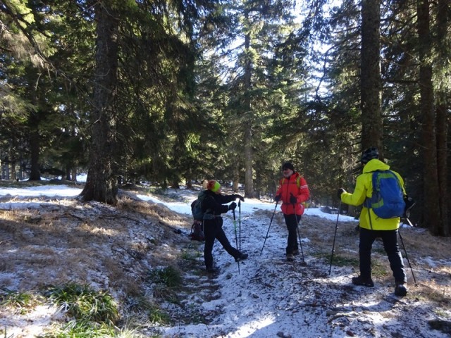 Rogla izvir pake (23.12.2023 in ogl.t.) - foto