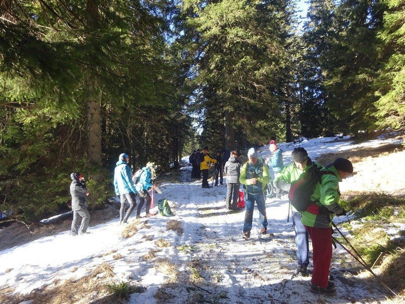 Rogla izvir pake (23.12.2023 in ogl.t.) - foto povečava