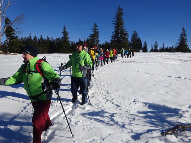 Rogla izvir pake (23.12.2023 in ogl.t.) - foto