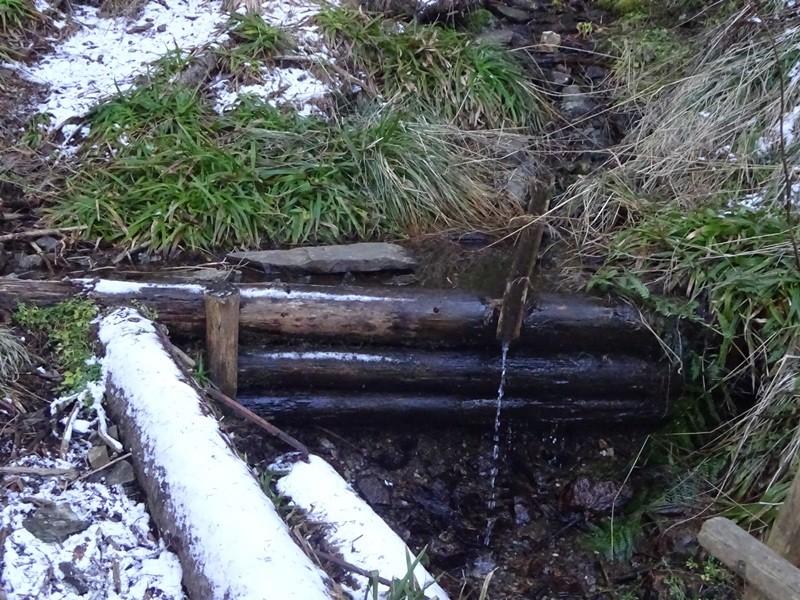 Rogla izvir pake (23.12.2023 in ogl.t.) - foto povečava