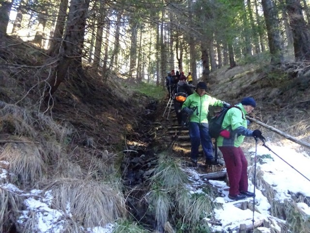 Rogla izvir pake (23.12.2023 in ogl.t.) - foto