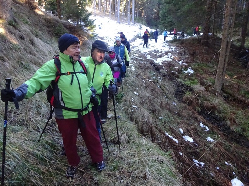 Rogla izvir pake (23.12.2023 in ogl.t.) - foto povečava