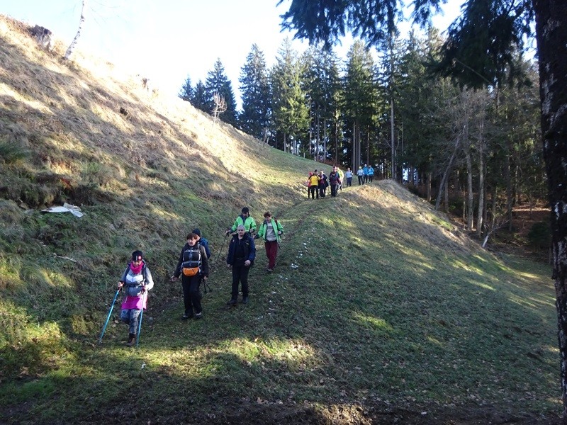 Rogla izvir pake (23.12.2023 in ogl.t.) - foto povečava