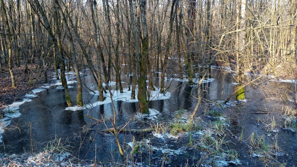 Ppp od vinariuma do turnišča (13.1.2024) - foto povečava