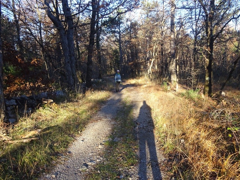 Pohod ob dnevu žena (ogl.t.) - foto povečava